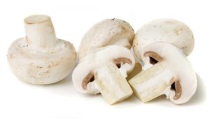 Read more about the article MUSHROOM