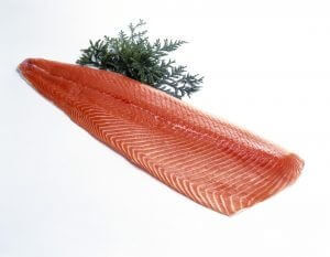 Read more about the article Como manter o salmão fresco por mais tempo