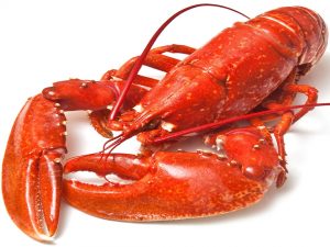 Read more about the article Lobster